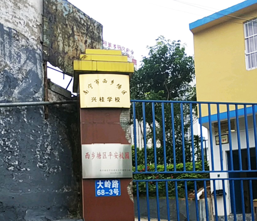 南宁市西乡塘区兴桂学校