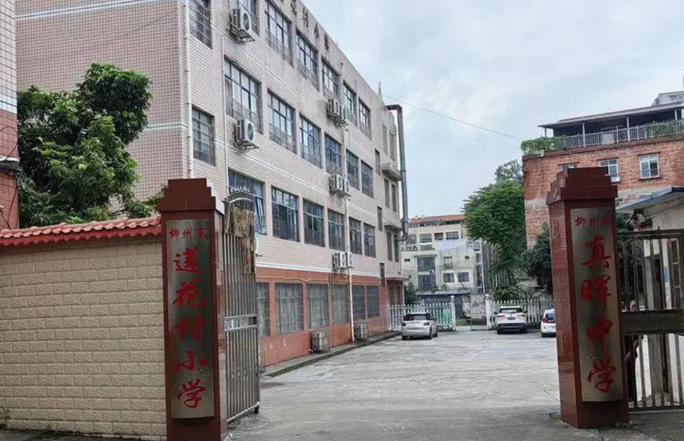 柳州市鱼峰区真晖中学