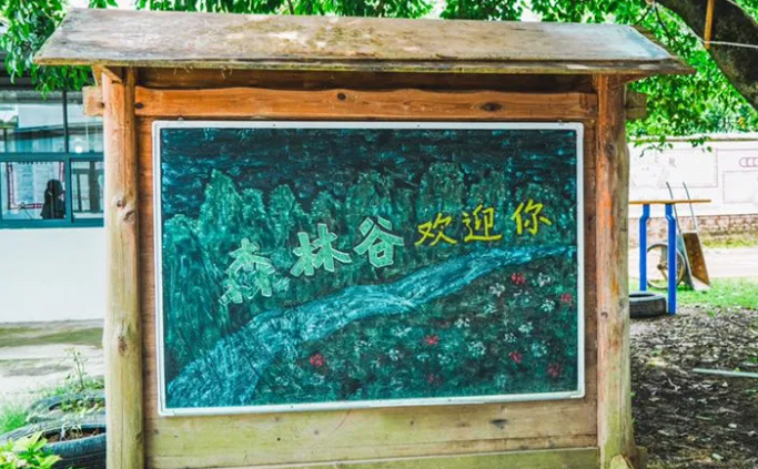 桂林森林谷实验小学